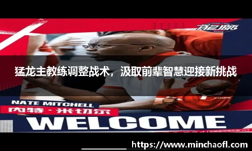 678体育官网